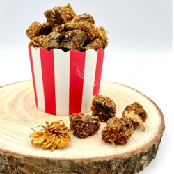 Bennyho senný popcorn 