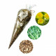 Pampeliška-kořen, list, květ