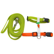 Postroj s vodítkem zelený s mrkvičkou