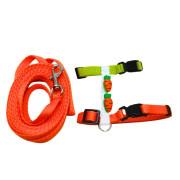 Postroj s vodítkem oranžový s mrkvemi