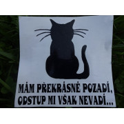 Samolepka např. na auto "kočičí pozadí"