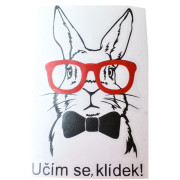 Samolepka např. na auto "králík začátečník"