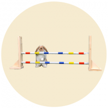 Překážky a výcvik