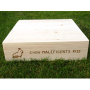 Výstavní podstavec